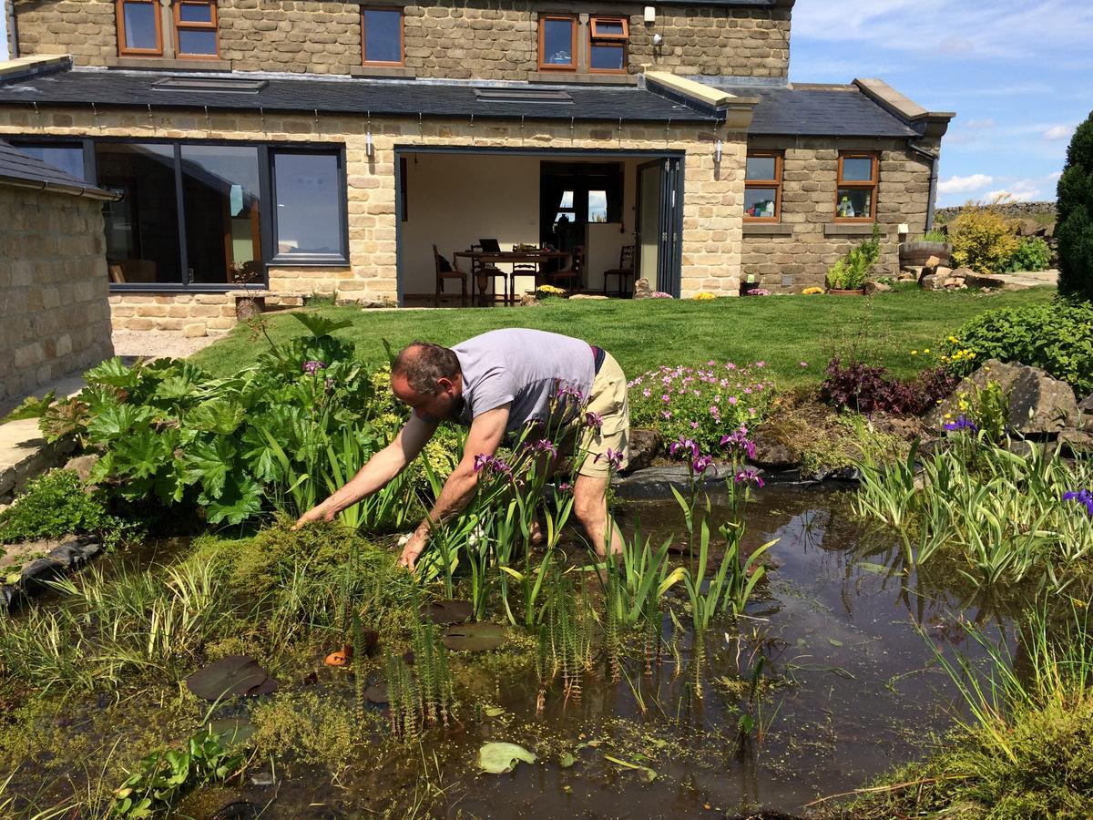 East Wayside B&B Harrogate Ngoại thất bức ảnh
